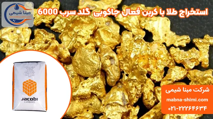 استخراج طلا با گلدسرب 6000